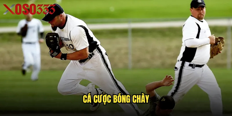 Cá cược bóng chày Xoso333 có phải là trò chơi mang lại lợi nhuận bền vững? 4 Cá cược bóng chày